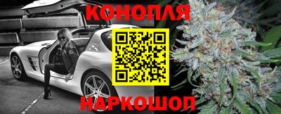 сатива Ирбит