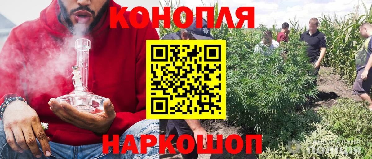 Канабис план  Конопля SATIVA & INDICA  Зима  Вход с VPN  Канабис индика  Конопля SATIVA & INDICA 